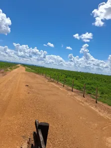 Fazenda/Sítio com 3 Quartos à venda, 96m² no , Montes Claros de Goiás