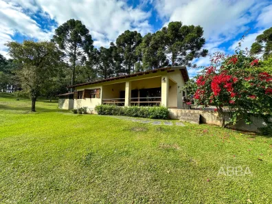 Fazenda/Sítio com 2 Quartos à venda, 5999m² no Salgadinho, Campo Largo
