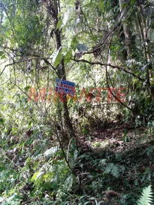 Lote/Terreno à venda, 1682m² no Caraguatá, Mairiporã