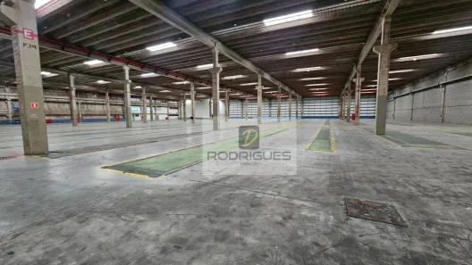 Galpão/Depósito/Armazém para alugar, 9800m² no Cooperativa, São Bernardo do Campo