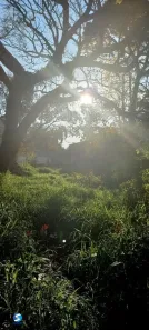 Lote/Terreno à venda, 420m² no Belém Novo, Porto Alegre
