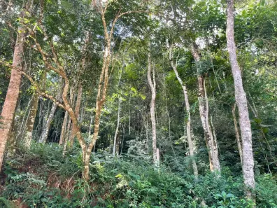 Lote/Terreno à venda, 3000m² no Planalto Verde, São Roque