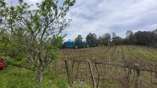 Lote/Terreno à venda, 24560m² no Forqueta, Caxias do Sul