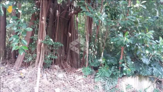 Lote/Terreno à venda, 3250m² no Cristal, Porto Alegre