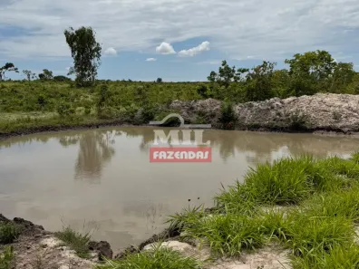 Fazenda/Sítio à venda, 1m² no , Urucuia