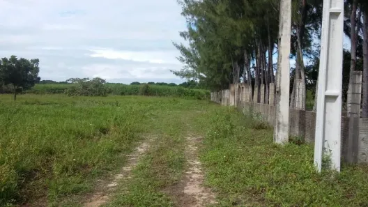 Lote/Terreno à venda, 6000m² no Lagoa Do Bonfim, Nísia Floresta