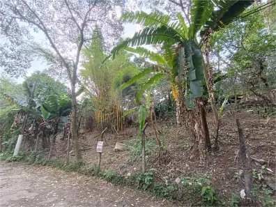 Lote/Terreno à venda, 300m² no Vila Amélia, São Paulo