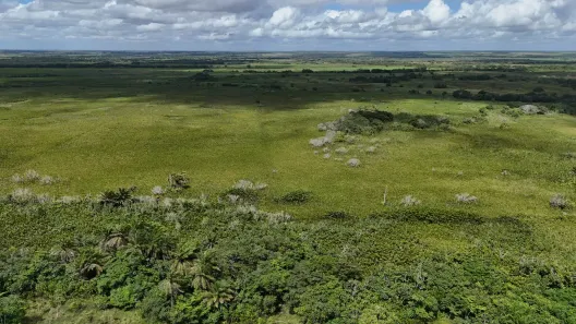 Fazenda/Sítio com 2 Quartos à venda, 2450000m² no , Ceará-Mirim