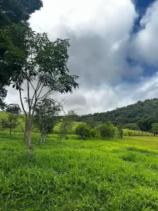 Fazenda/Sítio à venda, 500m² no Puris, Ibiúna