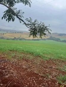à venda, 192000m² no , Londrina