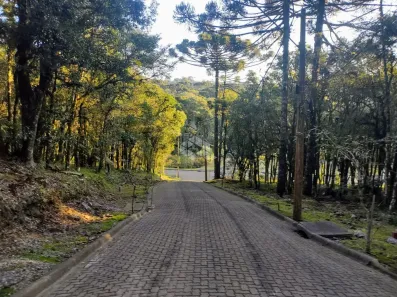 Lote/Terreno à venda, 1129m² no Pinheiro Grosso, Canela