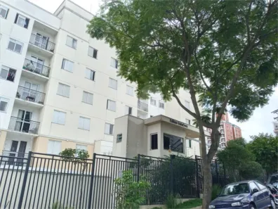 Apartamento com 3 Quartos para alugar, 61m² no Vila Santa Catarina, São Paulo