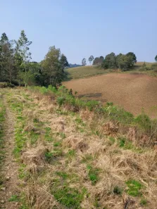 Imóvel Comercial à venda, 150000m² no Vila Oliva, Caxias do Sul