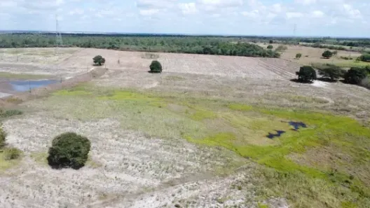 Fazenda/Sítio com 3 Quartos à venda, 3000000m² no , Macaíba