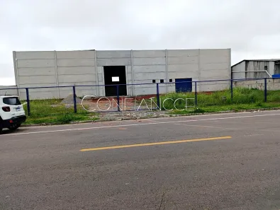 Galpão/Depósito/Armazém para alugar, 896m² no Parque da Fonte, São José dos Pinhais