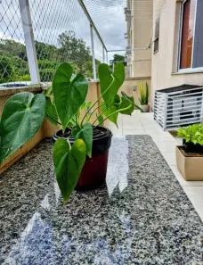 Apartamento com 2 Quartos à venda, 80m² no Maceió, Niterói