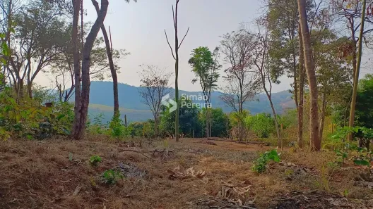Lote/Terreno à venda, 2500m² no Balança, Simão Pereira