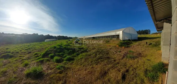 Lote/Terreno à venda, 20000m² no Centro, Holambra