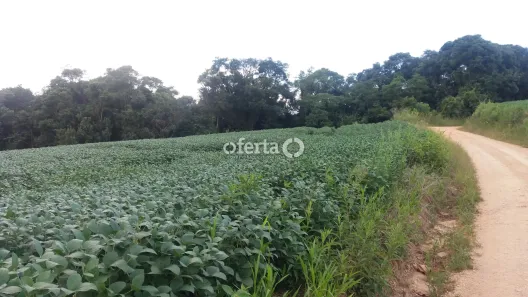 Fazenda/Sítio com 3 Quartos à venda, 100m² no , Lapa