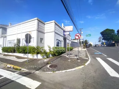 Ponto Comercial para alugar, 100m² no Estrela, Ponta Grossa