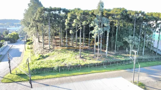 Lote/Terreno à venda, 4792m² no Ana Rech, Caxias do Sul