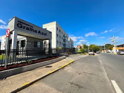 Apartamento com 2 Quartos para alugar, 40m² no Centro, São José dos Pinhais