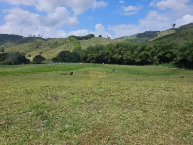 Fazenda/Sítio com 2 Quartos à venda, 650000m² no , Capela