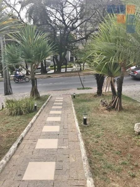 Foto 12