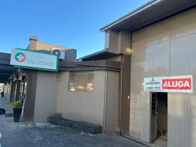 Galpão/Depósito/Armazém para alugar, 2500m² no Flores da Cunha, Flores da Cunha