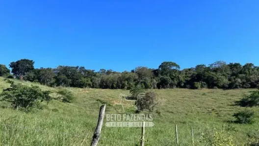 Fazenda/Sítio à venda, 190000m² no , Patrocínio do Muriaé
