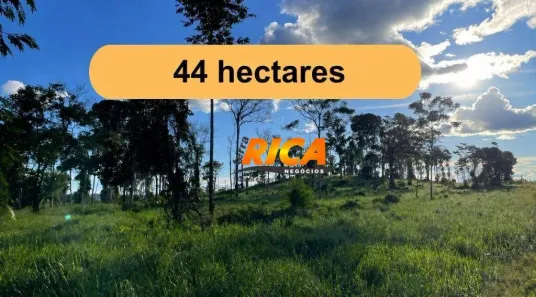 Fazenda/Sítio à venda, 440000m² no Área Rural de Porto Velho, Porto Velho
