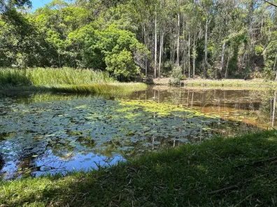Fazenda/Sítio com 3 Quartos à venda, 20000m² no Centro, Juquitiba