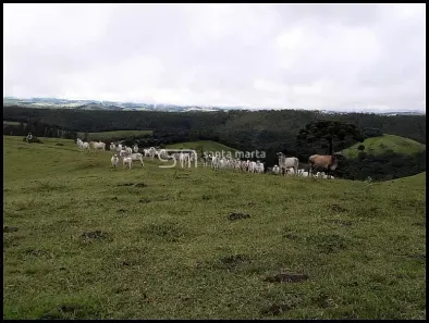 Fazenda/Sítio com 3 Quartos à venda, 840700m² no Área Rural de Guaratinguetá, Guaratinguetá