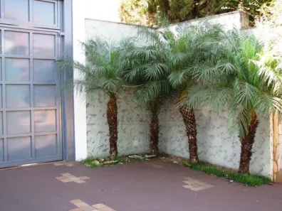 Casa com 4 Quartos à venda, 292m² no Vila Monte Alegre, Ribeirão Preto