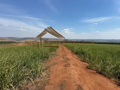 Fazenda/Sítio à venda, 1m² no Área Rural de Avaré, Avaré