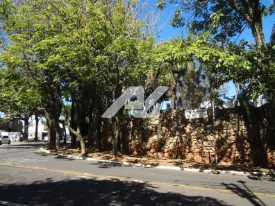 Imóvel Comercial com 5 Quartos para alugar, 560m² no Jardim das Paineiras, Campinas
