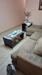 Apartamento com 3 Quartos à venda, 74m² no Vila Regente Feijó, São Paulo