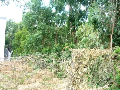 Lote/Terreno à venda, 405m² no Sanvitto, Caxias do Sul