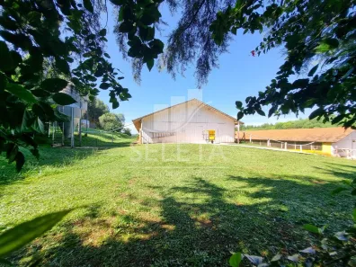 Fazenda/Sítio com 3 Quartos à venda, 200m² no São Salvador, Cascavel
