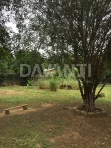 Lote/Terreno à venda, 1830m² no Chácara Santa Margarida, Campinas