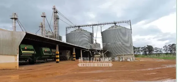 Fazenda/Sítio à venda, 244330000m² no Alto da Colina, Nova Mutum