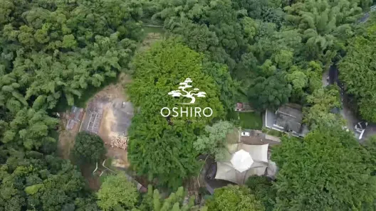 à venda, 13368m² no Morro Nova Cintra, Santos