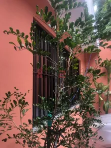 Imóvel Comercial com 3 Quartos à venda, 120m² no Vila Hamburguesa, São Paulo