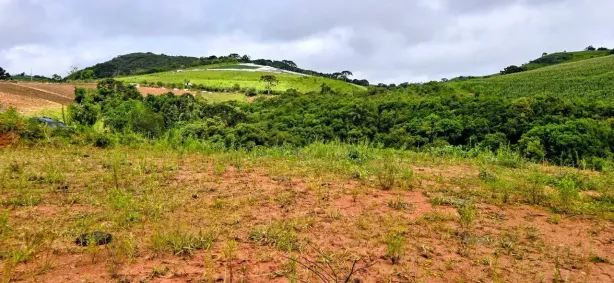 Fazenda/Sítio à venda, 1000m² no , Senador Amaral