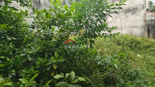 Lote/Terreno à venda, 75m² no Jardim Coronel, Itanhaém