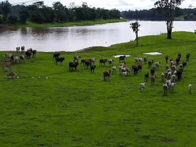 Fazenda/Sítio à venda, 1400000m² no Centro, Autazes