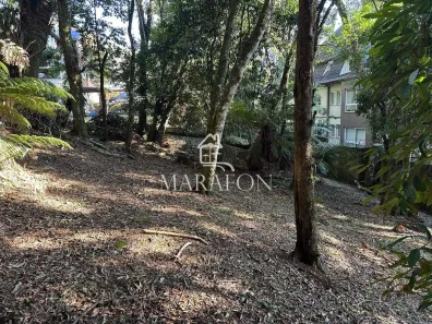 Lote/Terreno à venda, 620m² no Floresta, Gramado