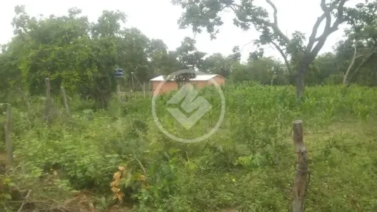 Fazenda/Sítio à venda, 445m² no , Bonito de Minas