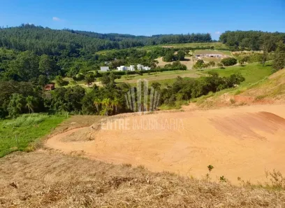 Lote/Terreno à venda, 20000m² no Jardim Martinelli (Sousas), Campinas