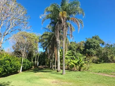 Fazenda/Sítio com 3 Quartos à venda, 300m² no Mombuca, Itatiba